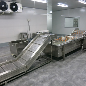 攬月 食品機械氣泡清洗機設(shè)備 清洗分級機 果蔬洗果機 清洗分選機