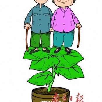 養老銀行賬戶遺失是否影響養老金發放？南海社保代理公司電話