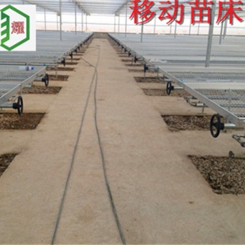 江西瑞金高品質(zhì)高質(zhì)量移動苗床華耀品牌放心用