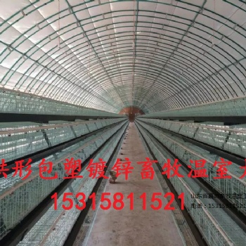 寧津縣嘉坤畜牧溫室大棚豬場自動化溫室大棚橢圓管定制棚優(yōu)質(zhì)養(yǎng)殖大棚全國供應(yīng)