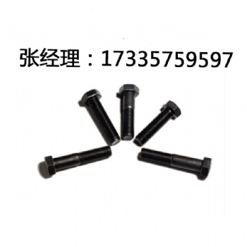 盾構(gòu)機(jī)配件方頭螺栓 M16*70-33H 代替 /M16*70-8.8-DIN479 德標(biāo)