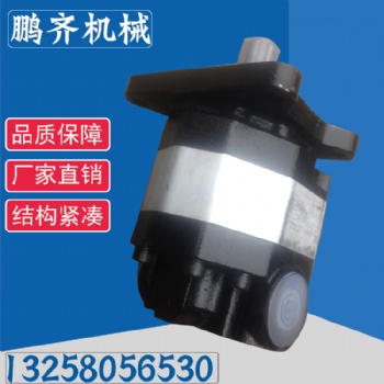 鵬齊齒輪泵的作用液壓泵報(bào)價(jià)廠家