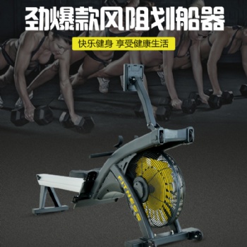 山東家用風阻劃船器室內健身靜音現(xiàn)貨廠家