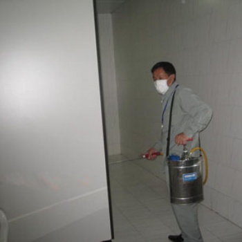 廣州黃埔白蟻防治收費標準 室內(nèi)消毒殺蟲一次清除效果好