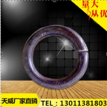天威20-60規(guī)格型號(hào) 保護(hù)鏈維修配件 高密度圓環(huán)
