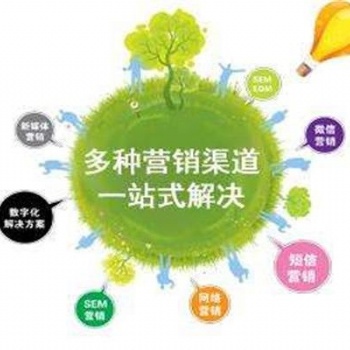 數(shù)字貨幣平臺招商，專業(yè)網(wǎng)絡(luò)推廣