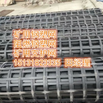 安平森旺生產(chǎn)鋼塑護幫網(wǎng)，雙抗網(wǎng)，阻燃鋼塑格柵網(wǎng)