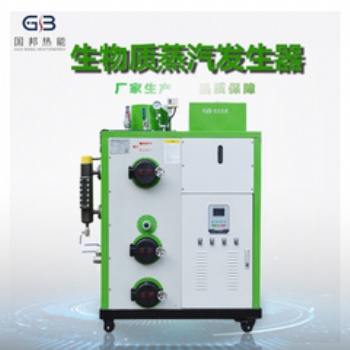 國邦生物質(zhì)蒸汽發(fā)生器70公斤超好用！！！