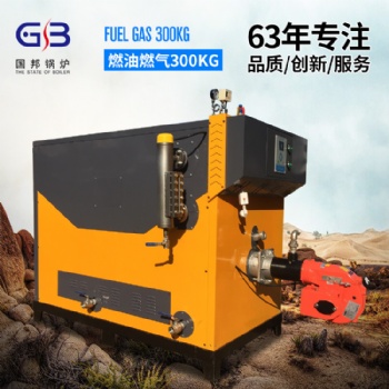 國邦鍋爐300KG低氮燃氣蒸汽發(fā)生器