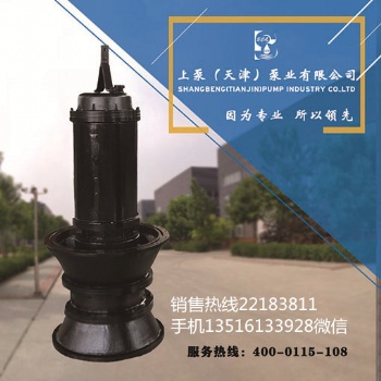 無(wú)阻塞潛水軸流泵-上泵