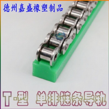 山東嘉盛廠家自動化生產(chǎn)線鏈條導軌