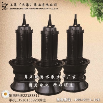 湖北自動(dòng)化潛水軸流泵