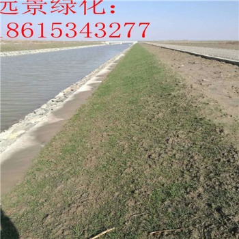 帶草籽的植物纖維毯 哪種抗沖生態(tài)毯效果比較好 抗沖毯的價(jià)格