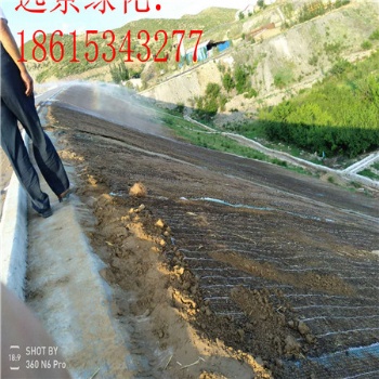 河道整治用的椰絲毯 公路邊坡治理用抗沖生物毯 礦山復綠用環(huán)保草毯