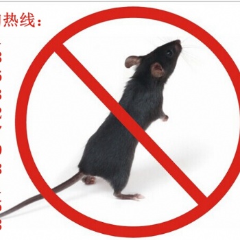 滄州除蟑螂，滅鼠，滅螞蟻，除四害公司，一次治療