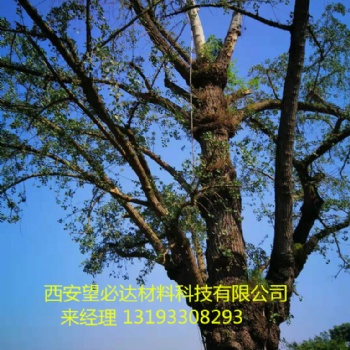西安望必達(dá)可定制高性能復(fù)合材料古樹避雷針5-25m