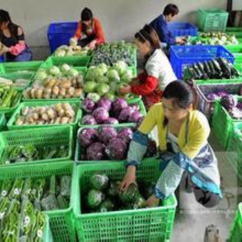 企石食堂承包、蔬菜配送公司、團體餐配送