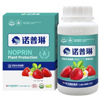 白雪公主增產(chǎn)增收效果顯著如何噴施葉面肥 諾普琳告訴你