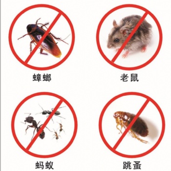 海南害蟲帶來的嚴(yán)重后果