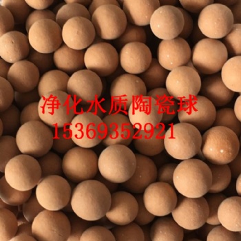 河北靈伍陶瓷球加工 過濾污水用麥飯石球 電氣石陶瓷球價(jià)格