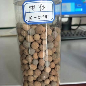輕質(zhì)陶粒（多微孔）濾料城鎮(zhèn)水凈化處理