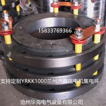 高壓電機(jī)集電環(huán) 蘭州電機(jī)廠產(chǎn)電機(jī)滑環(huán)YRKK1000-8