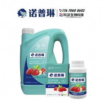 諾普琳草莓沖施肥促進(jìn)根部發(fā)育 強壯植株