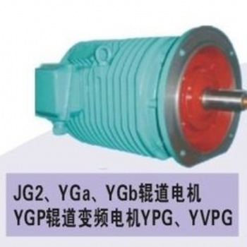 西安YG,YGa，YGb,YPG,YGP,YVPG變頻調速輥道電機廠家