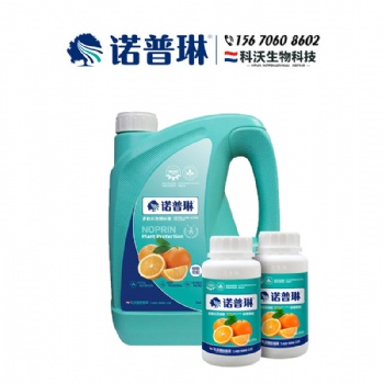 蜜香橙預(yù)防大小年用諾普琳**有驚喜