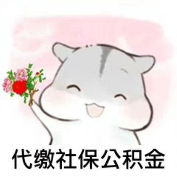 湖北納杰代理五險(xiǎn)一金