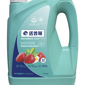 小白草莓生根養(yǎng)根就用諾普琳氨基酸沖施肥