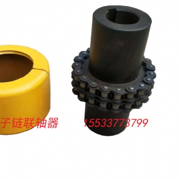 GL滾子鏈聯(lián)軸器 廠家