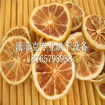 檸檬片熱循環空氣烘干機