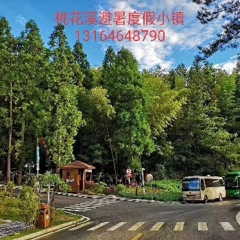 桃花溪避暑度假小鎮(zhèn)。距離武漢**近的避暑度假小鎮(zhèn)。夏天22℃的精裝避暑房。