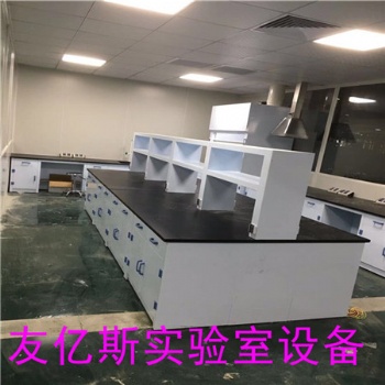 定做實(shí)驗(yàn)室中央臺(tái).實(shí)芯理化板實(shí)驗(yàn)桌.簡(jiǎn)易型實(shí)驗(yàn)臺(tái)廠(chǎng)家