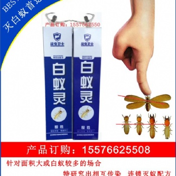 長(zhǎng)沙滅貓狗身上的跳蚤虱子服務(wù)蟑螂藥