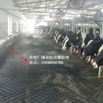 上海防滑墊，畜牧場所鋪設(shè)防滑膠墊，馬舍鋪設(shè)防滑墊，廣西牛欄墊