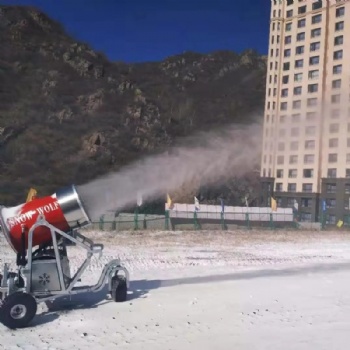 河南廠家供應(yīng)滑雪場造雪機(jī) 小型造雪機(jī) 大型造雪機(jī)全套設(shè)備