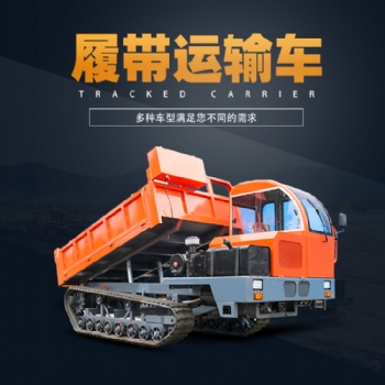 現(xiàn)貨供應(yīng)履帶運(yùn)輸車(chē) 山區(qū)多功能四不像履帶運(yùn)輸車(chē)
