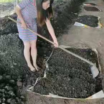 蚯蚓養(yǎng)殖技術(shù)，免費(fèi)教學(xué)