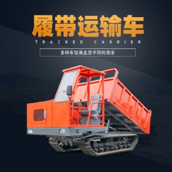 廠家現(xiàn)貨全地形履帶運(yùn)輸車(chē) 橡膠鋼制礦用山地爬山履帶運(yùn)輸車(chē)