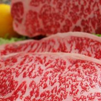 進(jìn)口澳大利亞牛肉的報關(guān)手續(xù)辦理