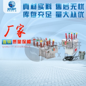 長(zhǎng)期供應(yīng)ZW-8-12FG戶外高壓真空斷路器廠家