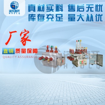 長(zhǎng)期供應(yīng)ZW10-11-12G戶外智能高壓雙電源切換裝置廠家