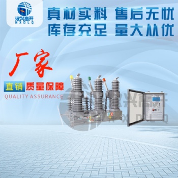 漢興電氣ZW32-24FG戶外高壓真空斷路器長(zhǎng)期供應(yīng)