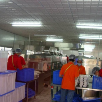 四川大型盒飯微波加熱機(jī)