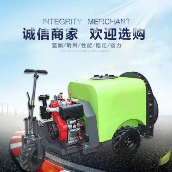 農(nóng)補高壓噴霧打藥機廠家 果園推送式打藥機