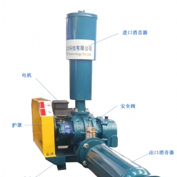 銷(xiāo)售供應(yīng)羅茨鼓風(fēng)機(jī)多種規(guī)格污水處理曝氣增氧用羅茨鼓風(fēng)機(jī)