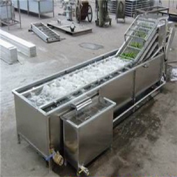 廠家定制多功能芹菜高壓噴淋氣泡清洗機(jī)