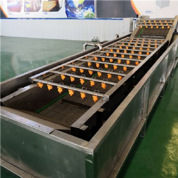 廠家供應(yīng)全自動西紅柿高壓噴淋氣泡清洗機(jī) 蔬菜清洗流水線